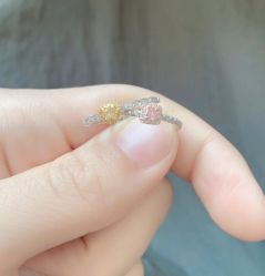 -钻石小鸟钻戒婚戒定制(石路店)