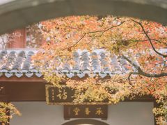 -西湖游船
