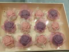 android_upload_pic-BLACKSWAN黑天鹅(环球店)