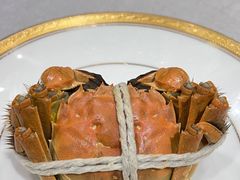4两大闸蟹公蟹-新光酒家·河豚·海鲜·蟹料理(浦东店)