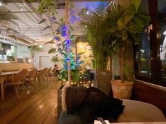 -the rug 飞毯 (朝阳公园店)