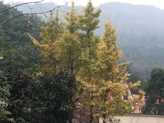 -花水湾第一村温泉大酒店