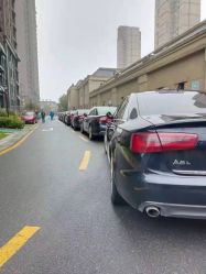 -蚂蚁婚车