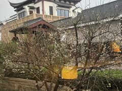 -苏州吴宫泛太平洋酒店