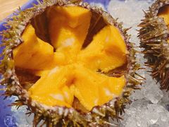马粪活海胆-樂涧·蓝鰭金枪鱼料理(生态园店)