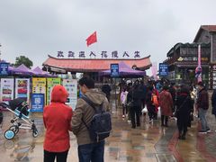 -花博汇(知音花月夜)