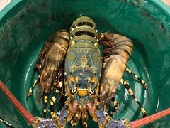 -真浪花园海鲜餐馆