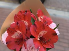 -何兮花店·气球派对鲜花店(马桥银春路万科城店)