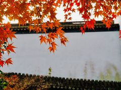 -秋霞圃