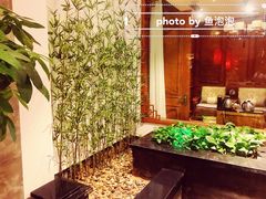 -碧露轩·大益茶体验馆(镇江路店)