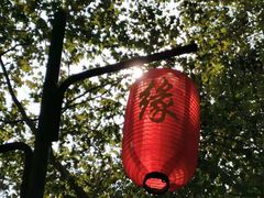 -杭州黄龙洞