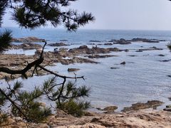 -青岛第二海水浴场