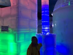 -世界之窗阿尔卑斯冰雪世界