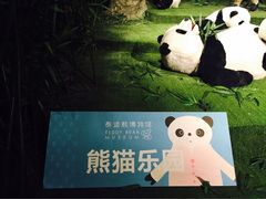 -成都泰迪熊博物馆