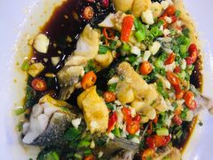 -全乐鱼馆·淳牌有机鱼直营店