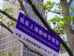 -陆家嘴中心绿地