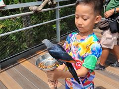 -新加坡飞禽公园
