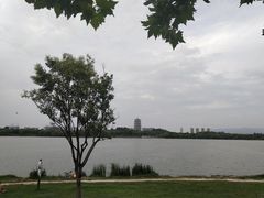 -灞河西岸滨河公园