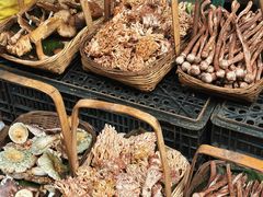 扫把菌-双龙烧烤城