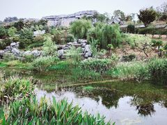 景点-天屿湖