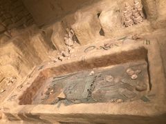 -美国自然历史博物馆