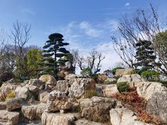 -牛首山文化旅游区