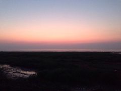 南汇嘴观海公园-南汇嘴观海公园