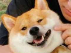 -宠小格时尚宠物生活馆(唐镇店)