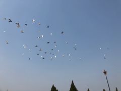 -龙口南山旅游景区