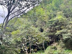 -大鄣山卧龙谷景区