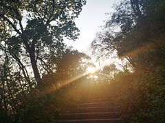 -杭州半山国家森林公园