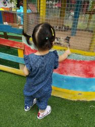 -萌宠亲子动物乐园(槐房万达店)