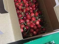 -有家·酸汤鱼(土门店)