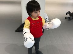 -EFL巴西柔术·综合格斗·泰拳·少儿体能训练(虹桥德必馆)