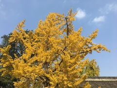 景观位-香园自助小火锅