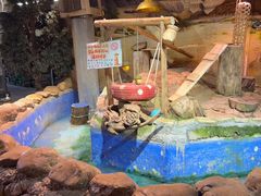 -正佳雨林生态植物园
