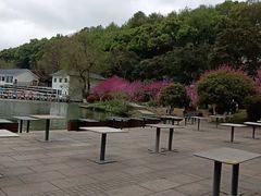 -食膳公园包子铺(烈士公园店)