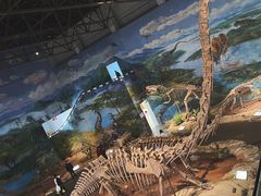 -自贡恐龙博物馆