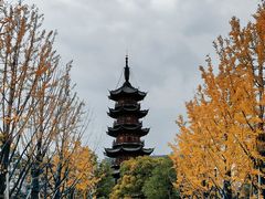 -龙华寺