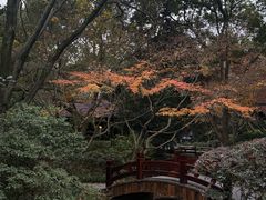 -中国茶叶博物馆(双峰馆区)