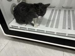 -瑞鹏宠物医院·超声·骨科·奇麟分院(蜀都万达店)