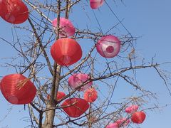 -北京奥林匹克公园