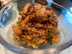 -北京老铺烤鸭(高新店)