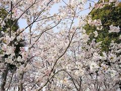 -幕燕滨江·长江观音景区