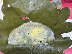 -山海关清和浑锅店