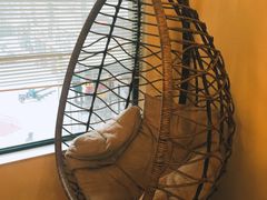 -滚猫咖啡·猫咖·猫友好撸猫(未来城店)