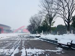 -南京奥林匹克体育中心-体育馆