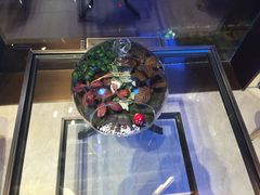 -green essence 青籁优体(三里屯店)