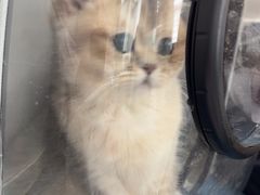 -心仪动物医院·牙专科·肿瘤·心脏科(西客站院)