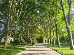 -河南省黄河迎宾馆